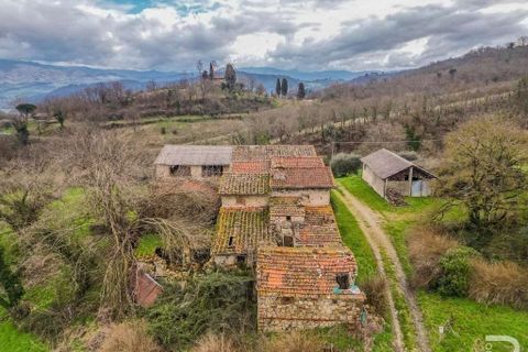Farm hus i Vicchio, Florence, Vicchio - € 550.000 | Ref: R05143VIRU-1340639 - foto 14