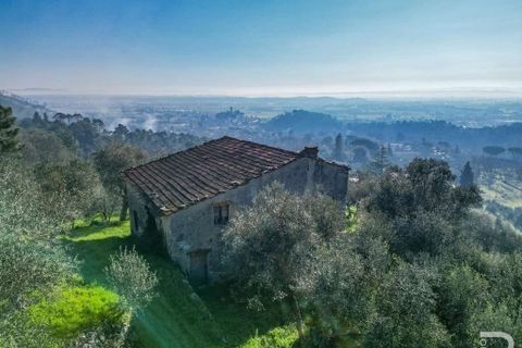 Farm hus i Vicopisano, Pisa, Vicopisano - € 260.000 | Ref: R05115VIRU-1340858 - foto 2
