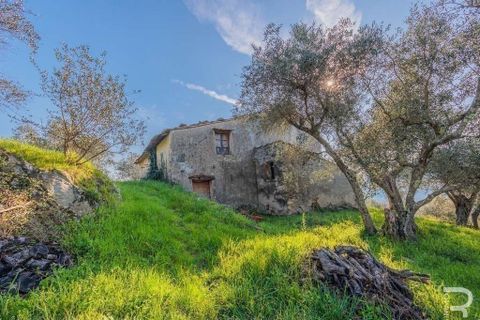 Farm hus i Vicopisano, Pisa, Vicopisano - € 260.000 | Ref: R05115VIRU-1340858 - foto 6