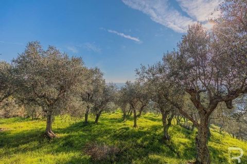 Farm hus i Vicopisano, Pisa, Vicopisano - € 260.000 | Ref: R05115VIRU-1340858 - foto 7