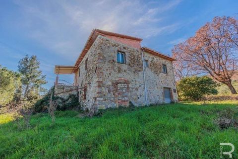 Farm hus i Lajatico, Pisa, Lajatico - € 436.000 | Ref: R05117ORRU-1341021 - foto 1