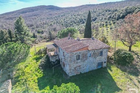 Farm hus i Lajatico, Pisa, Lajatico - € 436.000 | Ref: R05117ORRU-1341021 - foto 2