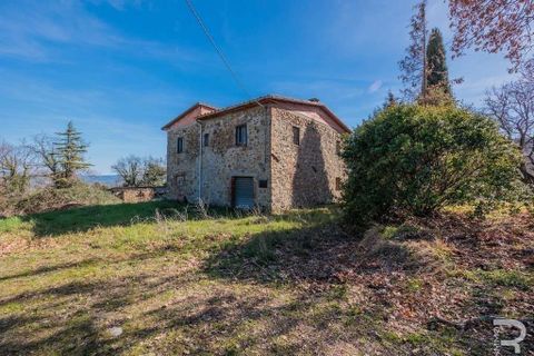 Farm hus i Lajatico, Pisa, Lajatico - € 436.000 | Ref: R05117ORRU-1341021 - foto 3
