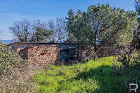 Farm hus i Lajatico, Pisa, Lajatico - € 436.000 | Ref: R05117ORRU-1341021 - foto 7