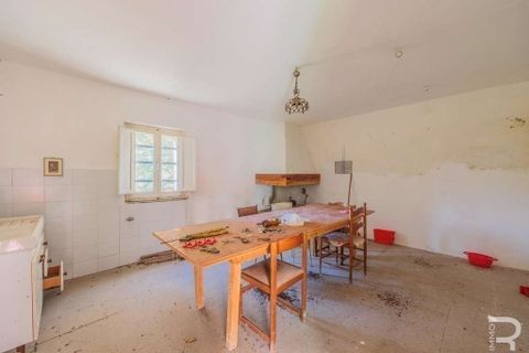 Farm hus i Lajatico, Pisa, Lajatico - € 436.000 | Ref: R05117ORRU-1341021 - foto 12