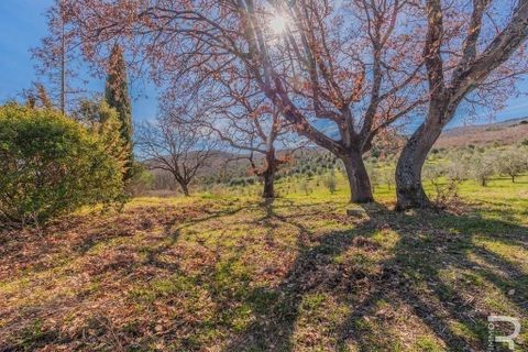 Farm hus i Lajatico, Pisa, Lajatico - € 436.000 | Ref: R05117ORRU-1341021 - foto 16