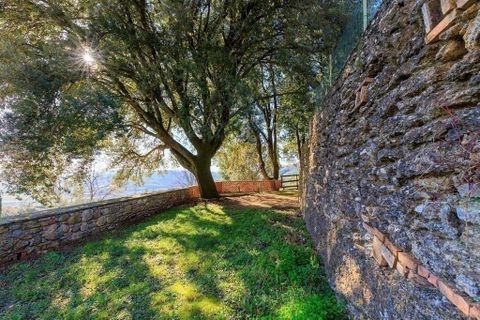 Farm hus i Pomarance, Pisa, Pomarance - € 610.000 | Ref: R05063PORU-1341185 - foto 10