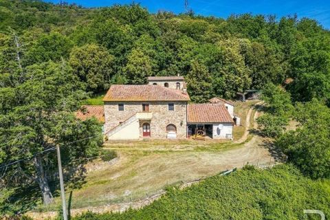 Farm hus i Pomarance, Pisa, Pomarance - € 990.000 | Ref: R05035PORU-1341335 - foto 19