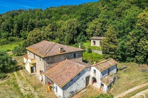 Farm hus i Pomarance, Pisa, Pomarance - € 990.000 | Ref: R05035PORU-1341335 - foto 20
