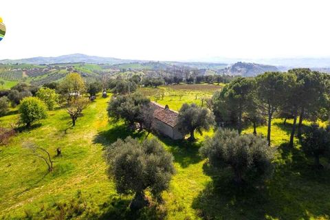 Villa i Notaresco, Teramo, Notaresco - € 175.000 | Ref: EL1166-1352199 - foto 2