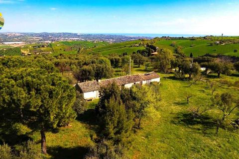 Villa i Notaresco, Teramo, Notaresco - € 175.000 | Ref: EL1166-1352199 - foto 3