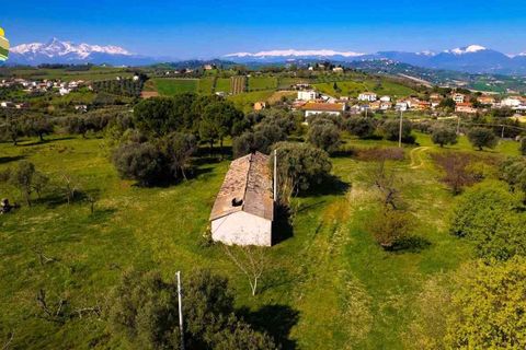 Villa i Notaresco, Teramo, Notaresco - € 175.000 | Ref: EL1166-1352199 - foto 5