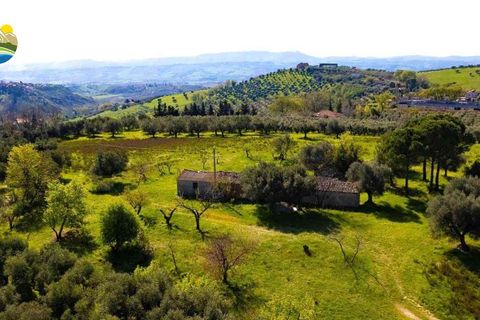Villa i Notaresco, Teramo, Notaresco - € 175.000 | Ref: EL1166-1352199 - foto 7