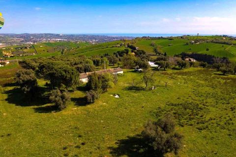 Villa i Notaresco, Teramo, Notaresco - € 175.000 | Ref: EL1166-1352199 - foto 10