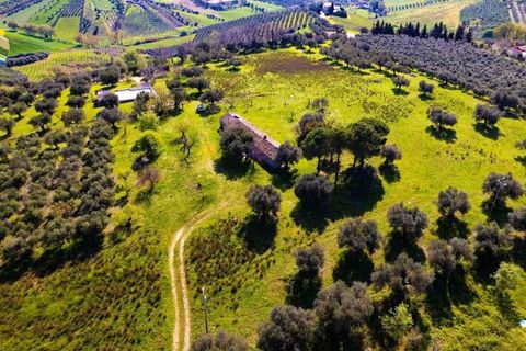 Villa i Notaresco, Teramo, Notaresco - € 175.000 | Ref: EL1166-1352199 - foto 13