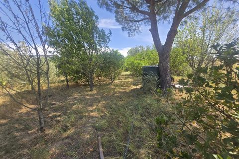 Helårsgrund i Castro Verde, Beja, Castro Verde - € 50.000 | Ref: JG2480 - foto 7