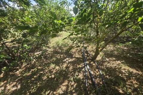Helårsgrund i Castro Verde, Beja, Castro Verde - € 50.000 | Ref: JG2480 - foto 10