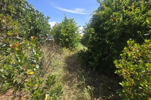 Helårsgrund i Castro Verde, Beja, Castro Verde - € 50.000 | Ref: JG2480 - foto 11