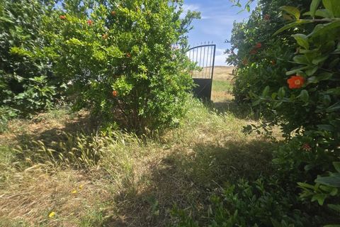 Helårsgrund i Castro Verde, Beja, Castro Verde - € 50.000 | Ref: JG2480 - foto 12