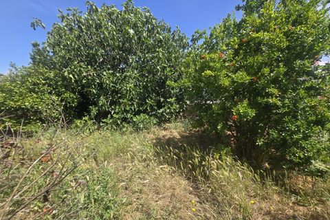 Helårsgrund i Castro Verde, Beja, Castro Verde - € 50.000 | Ref: JG2480 - foto 13