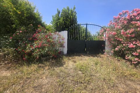 Helårsgrund i Castro Verde, Beja, Castro Verde - € 50.000 | Ref: JG2480 - foto 14
