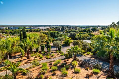 Villa i Olhao, Faro, Olhao - € 1.395.000 | Ref: SVP2486 - foto 45