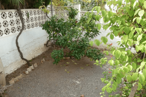 Villa i Albir, Alicante, Albir - € 495.000 | Ref: SPS45346U - foto 22
