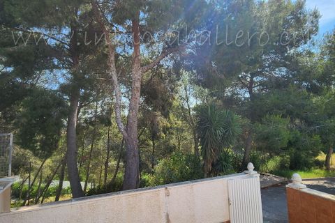 Rækkehus i Pinar De Campoverde, Alicante, Pinar De Campoverde - € 149.000 | Ref: 207 - foto 39