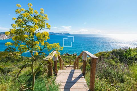 Villa en Calpe, Alicante, Calpe - € 1.180.000 | Ref: ALT70047 - photo 17