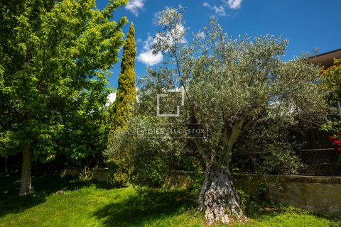 Villa i Madrid, Madrid, Madrid - € 2.226.000 | Ref: MAD69473 - foto 36