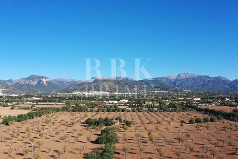 Landejendom i Inca, Mallorca, Inca - € 1.700.000 | Ref: 071644 - foto 3
