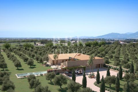 Landejendom i Inca, Mallorca, Inca - € 1.700.000 | Ref: 071644 - foto 10