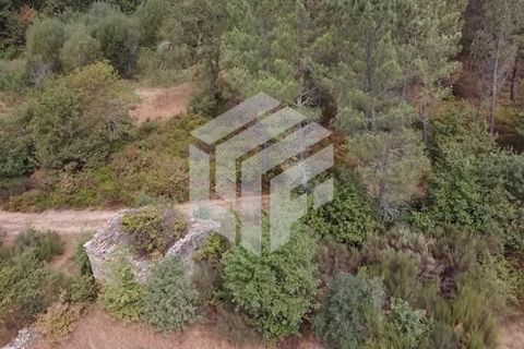 Landejendom i Tabua, Coimbra, Tabua - € 30.000 | Ref: LMF004 - foto 2