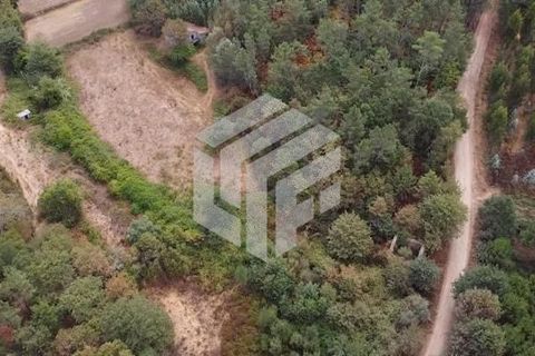 Landejendom i Tabua, Coimbra, Tabua - € 30.000 | Ref: LMF004 - foto 4