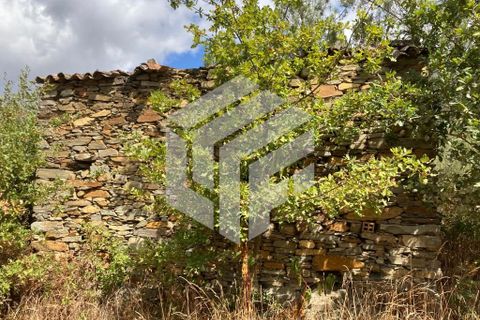 Landejendom i Tabua, Coimbra, Tabua - € 30.000 | Ref: LMF004 - foto 5