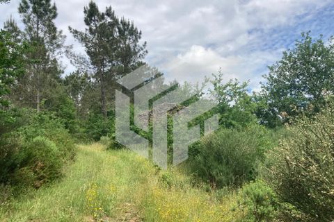 Landejendom i Tabua, Coimbra, Tabua - € 30.000 | Ref: LMF004 - foto 6