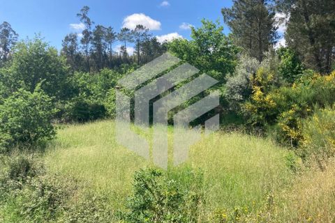 Landejendom i Tabua, Coimbra, Tabua - € 30.000 | Ref: LMF004 - foto 7