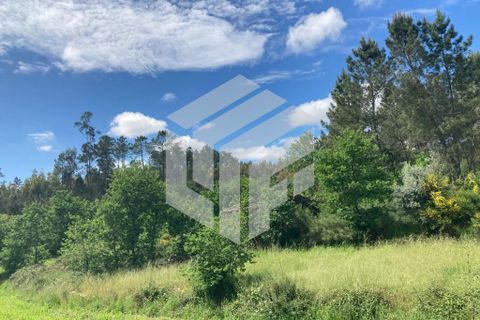 Landejendom i Tabua, Coimbra, Tabua - € 30.000 | Ref: LMF004 - foto 8