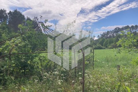 Landejendom i Tabua, Coimbra, Tabua - € 30.000 | Ref: LMF004 - foto 9