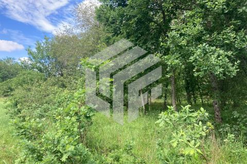 Landejendom i Tabua, Coimbra, Tabua - € 30.000 | Ref: LMF004 - foto 10
