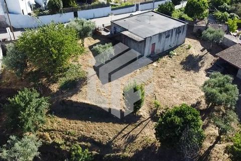 Landejendom i Arganil, Coimbra, Arganil - € 75.000 | Ref: LMF008 - foto 2