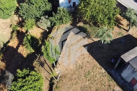 Landejendom i Arganil, Coimbra, Arganil - € 75.000 | Ref: LMF008 - foto 5