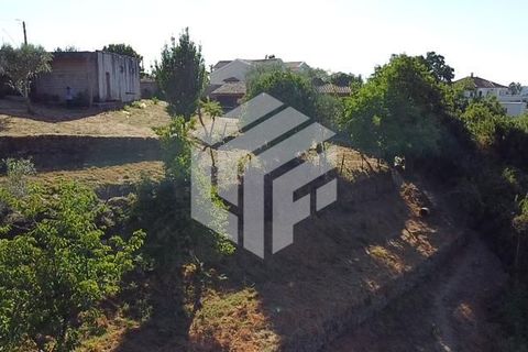 Landejendom i Arganil, Coimbra, Arganil - € 75.000 | Ref: LMF008 - foto 6