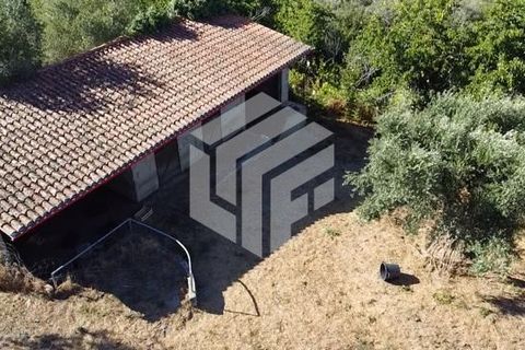 Landejendom i Arganil, Coimbra, Arganil - € 75.000 | Ref: LMF008 - foto 7