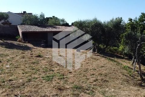 Landejendom i Arganil, Coimbra, Arganil - € 75.000 | Ref: LMF008 - foto 8