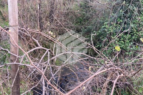 Landejendom i Seia, Guarda, Seia - € 30.000 | Ref: LMF019 - foto 4
