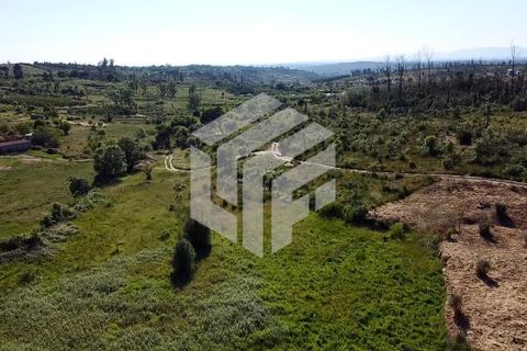 Landejendom i Seia, Guarda, Seia - € 30.000 | Ref: LMF019 - foto 9