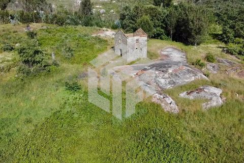 Landejendom i Seia, Guarda, Seia - € 30.000 | Ref: LMF019 - foto 15