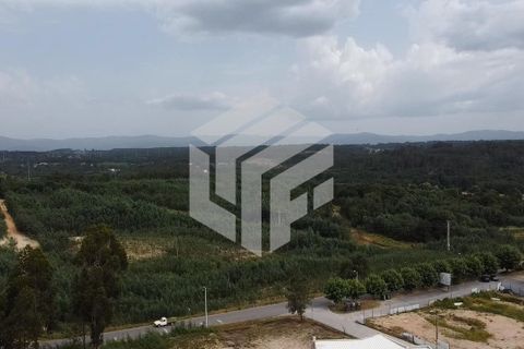 Helårsgrund i Tabua, Coimbra, Tabua - € 40.000 | Ref: LMF025 - foto 11