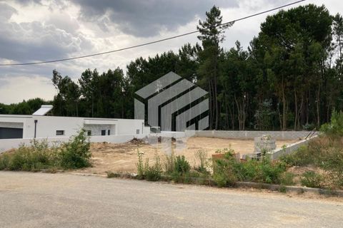 Helårsgrund i Tabua, Coimbra, Tabua - € 40.000 | Ref: LMF025 - foto 12